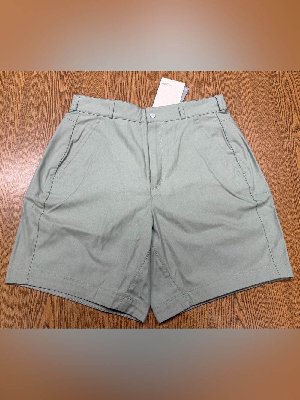 Icebreaker Women’s Hiking Shorts - Lichen Size 30 NWT